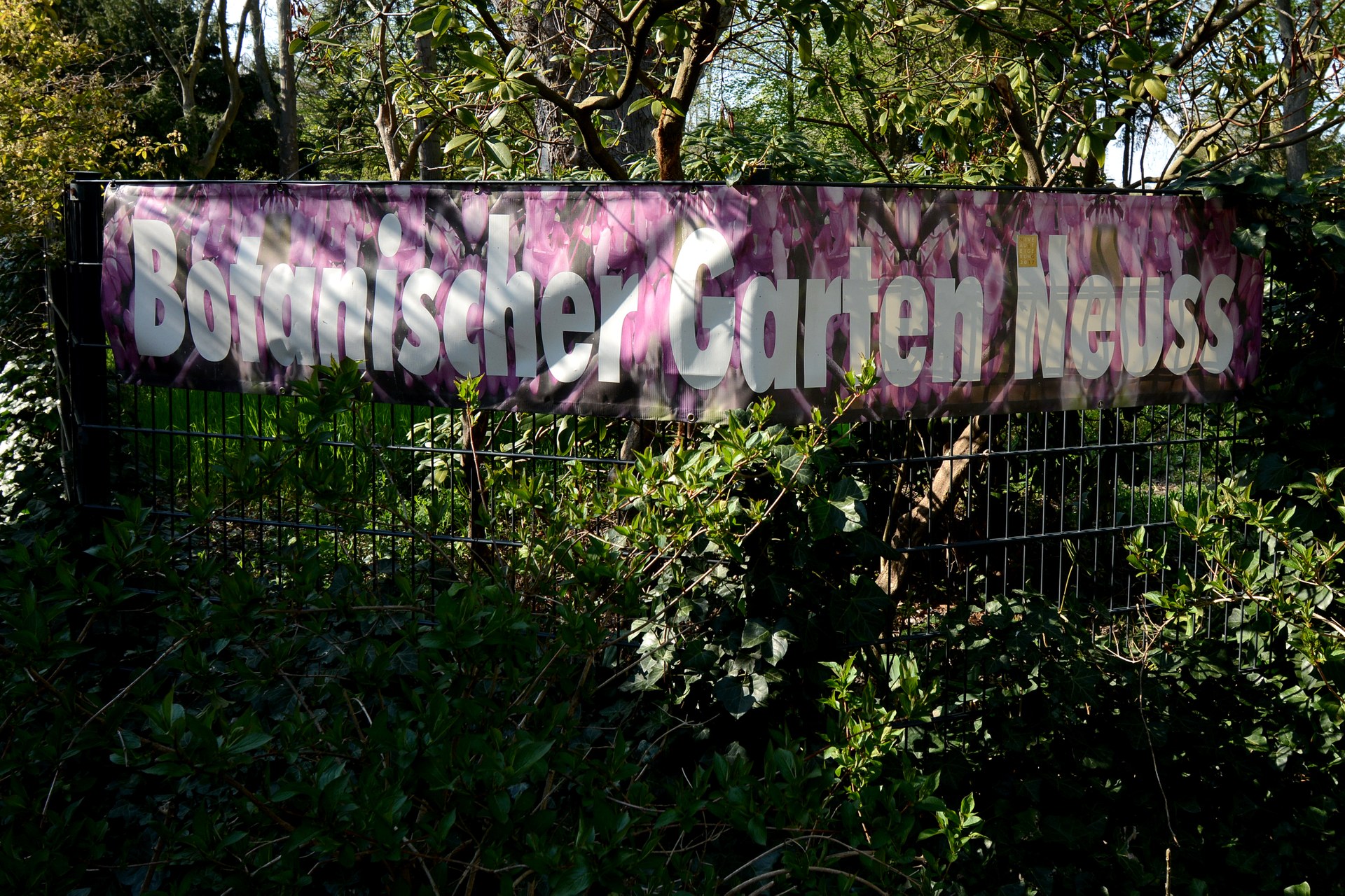 Botanischer Garten — Neuss am Rhein