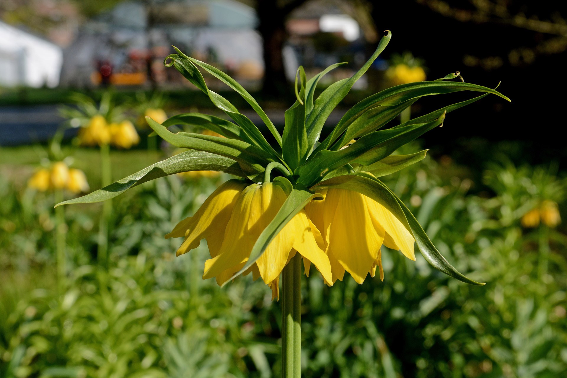 Stadt Neuss - 2020-04-08 - Erweiterung Botanischer Garten 08.jpg