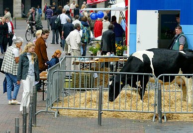 Regio Markt #4