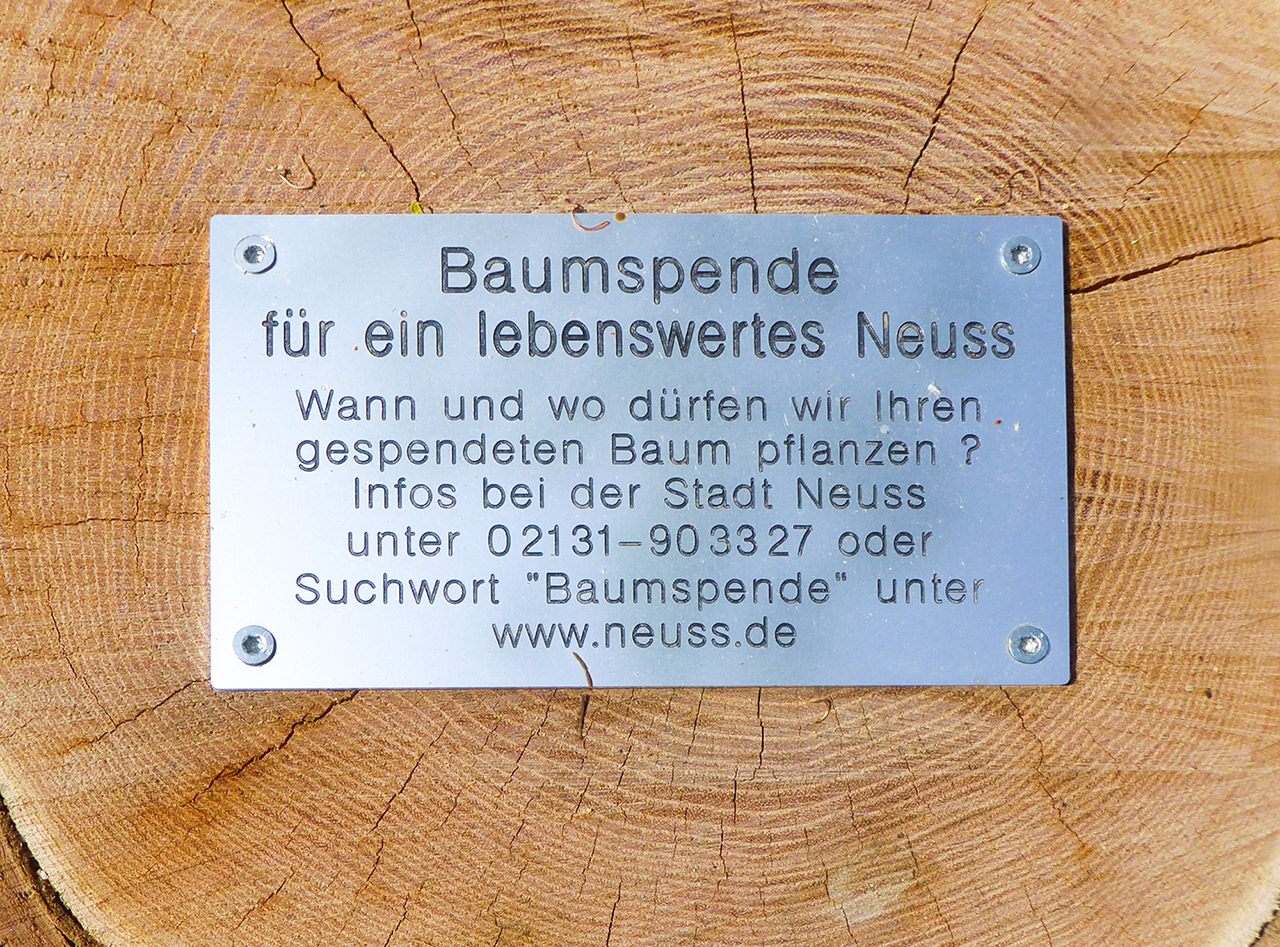 baumspende04.jpg