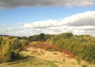 stadt-neuss_natur-radrouten_02_fluss-bachauen_19b.jpg