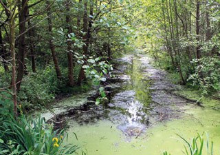 stadt-neuss_natur-radrouten_02_fluss-bachauen_26.jpg