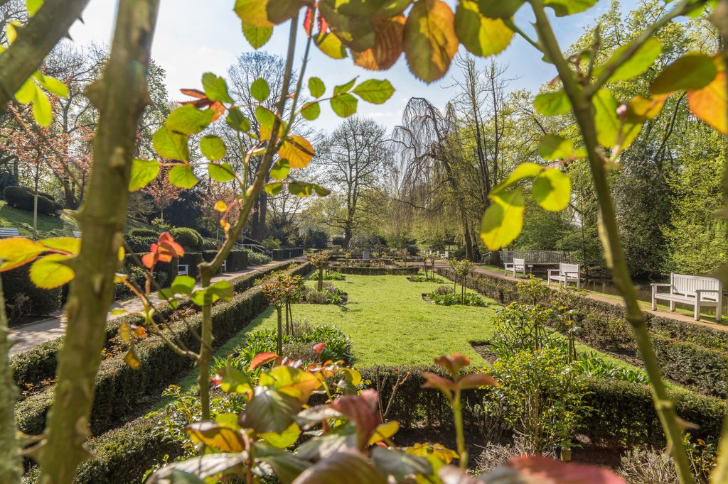 Der Rosengarten wir umgestaltet © Melanie Stegemann